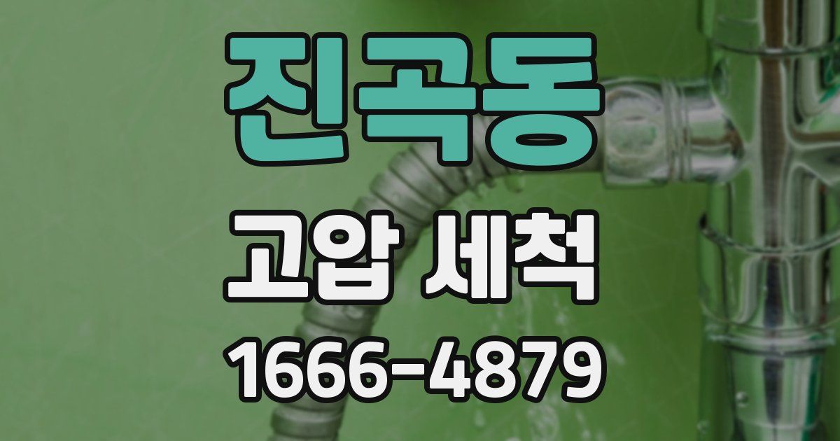 진곡동 고압 세척