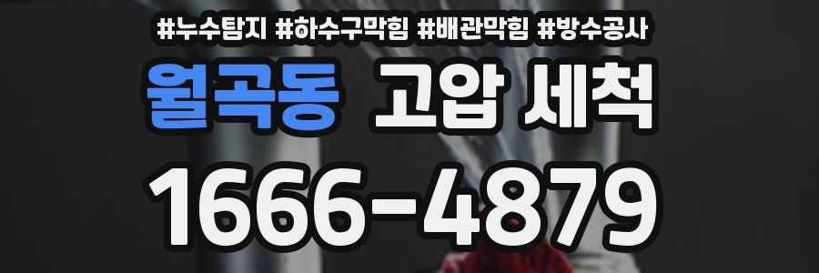 월곡동 고압 세척