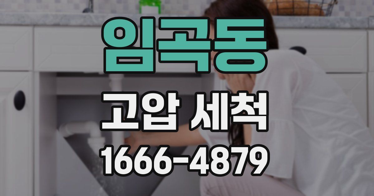 임곡동 고압 세척