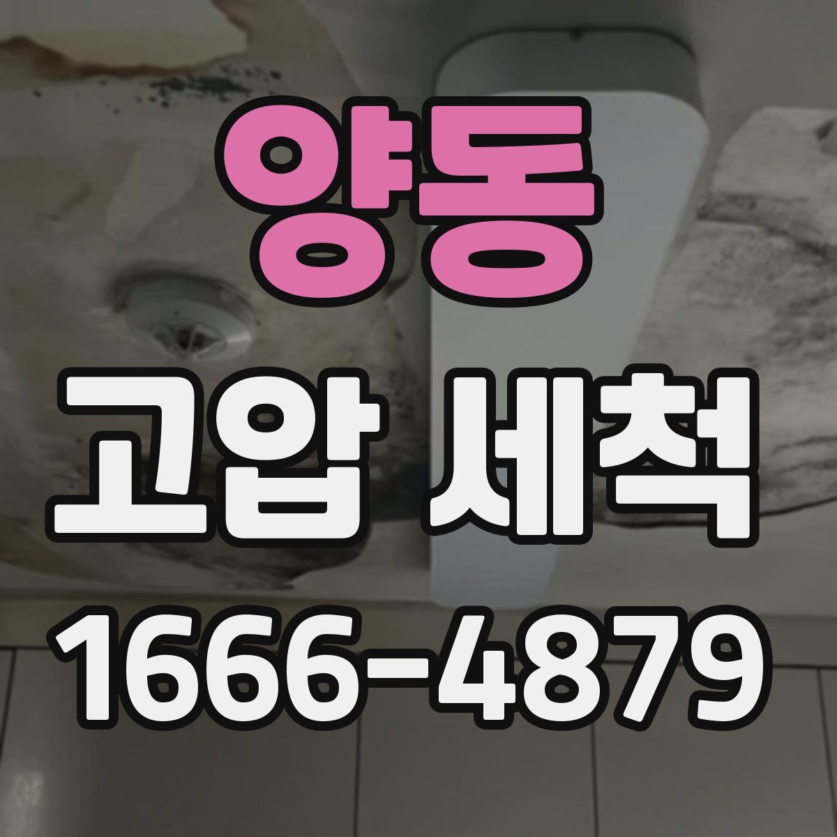 양동 고압 세척