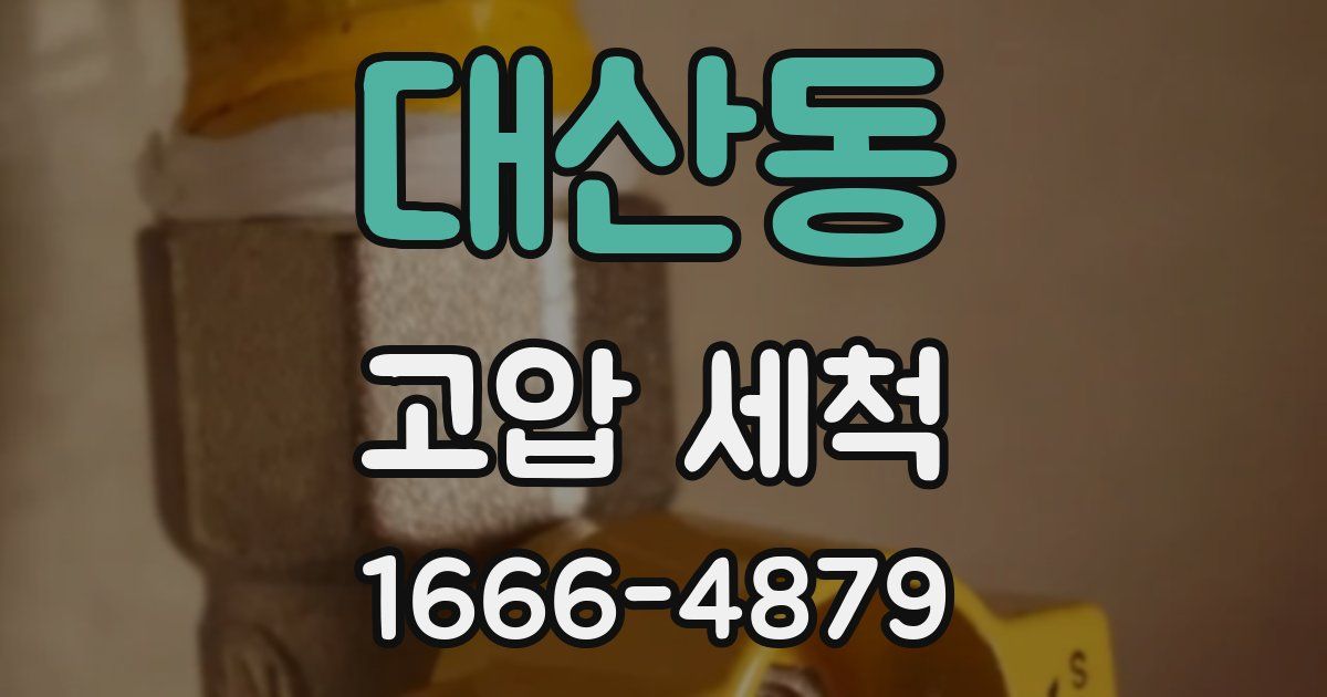 대산동 고압 세척