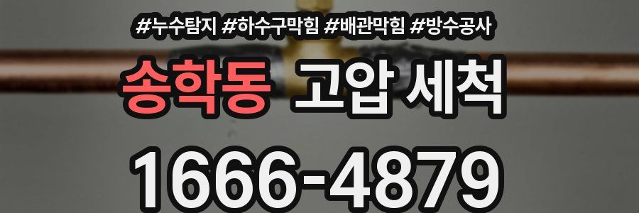 송학동 고압 세척