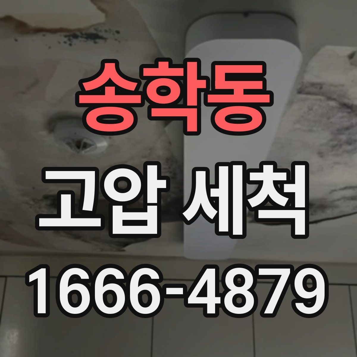 송학동 고압 세척