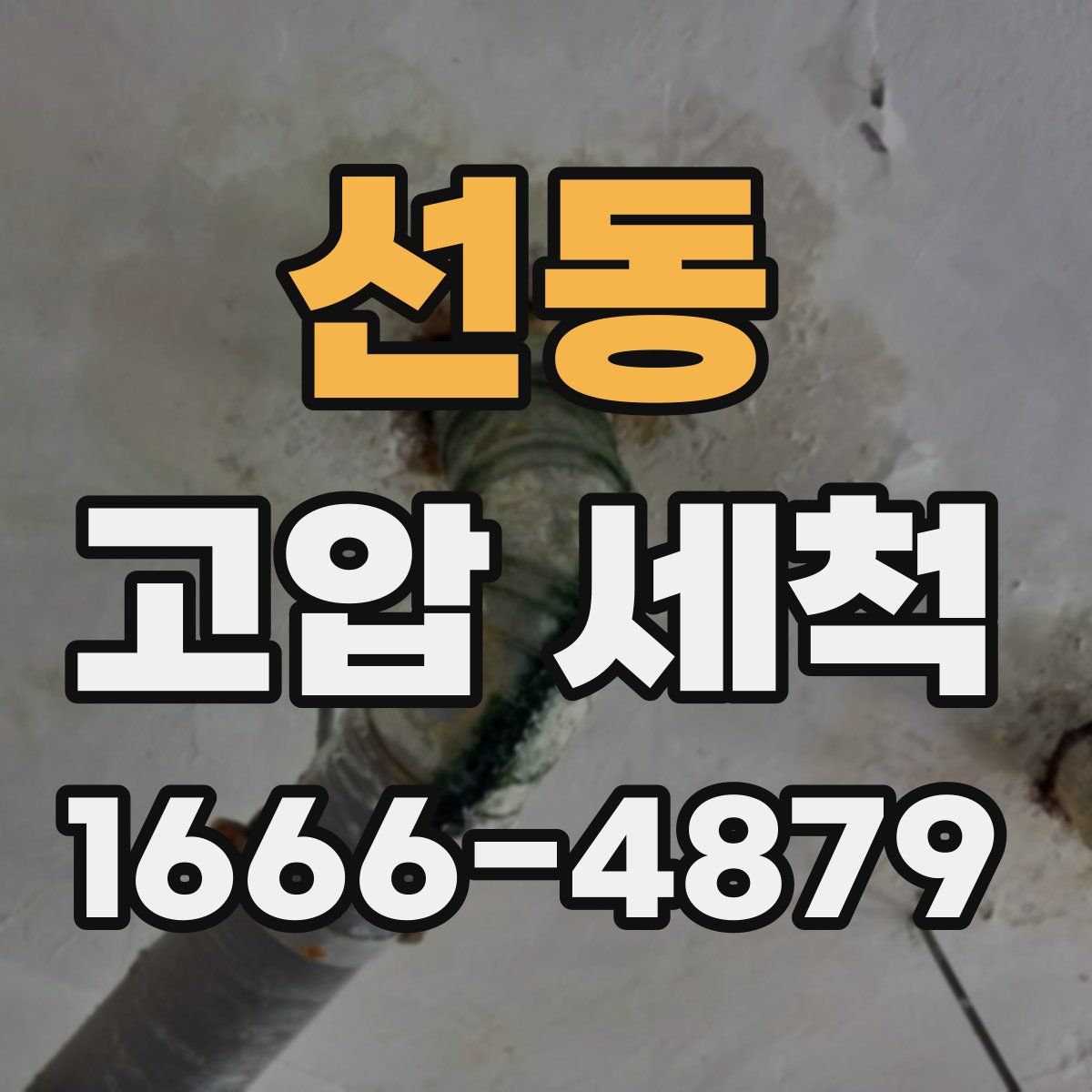 선동 고압 세척