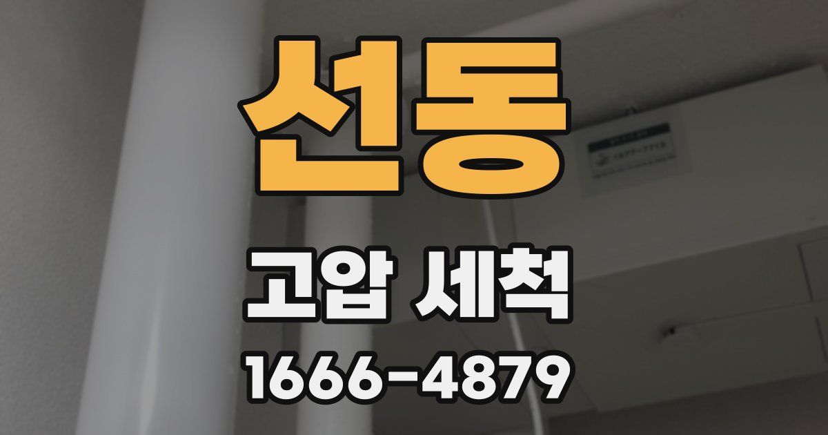 선동 고압 세척