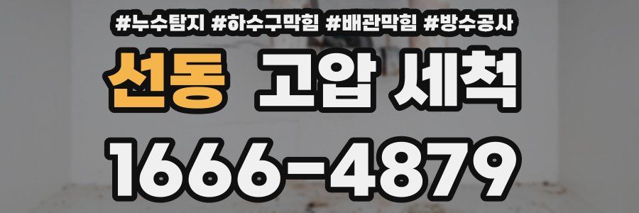 선동 고압 세척