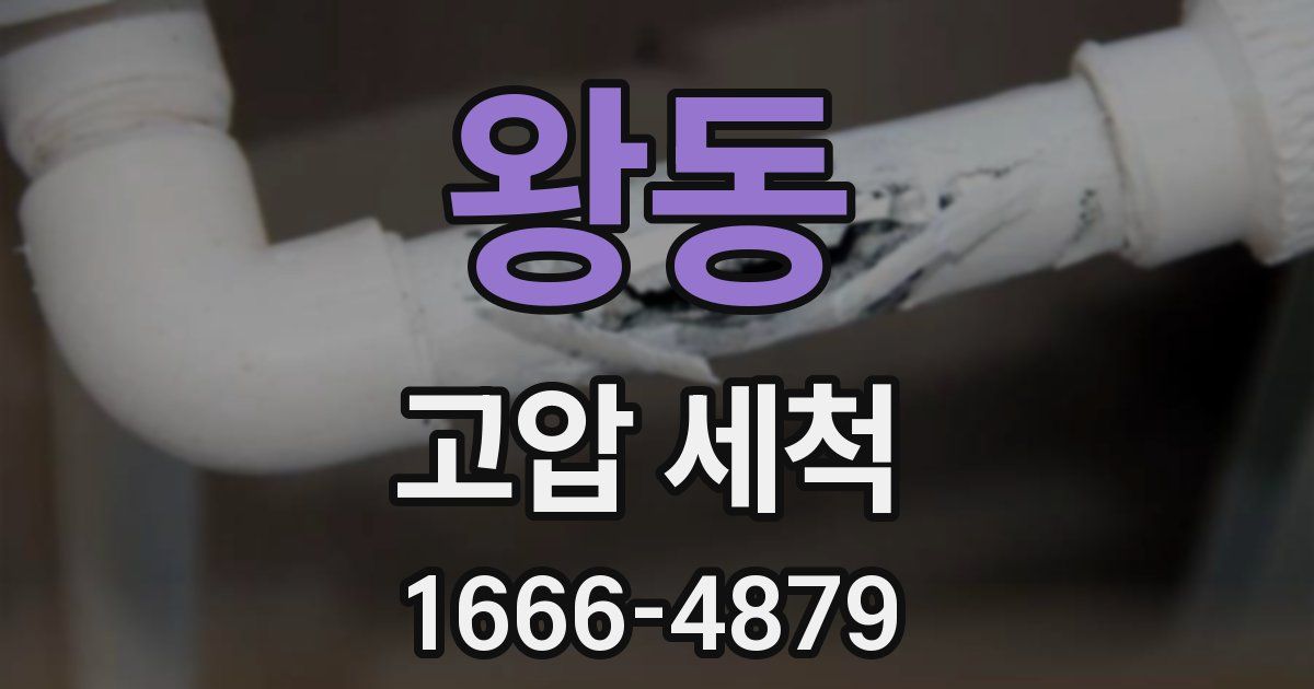 왕동 고압 세척