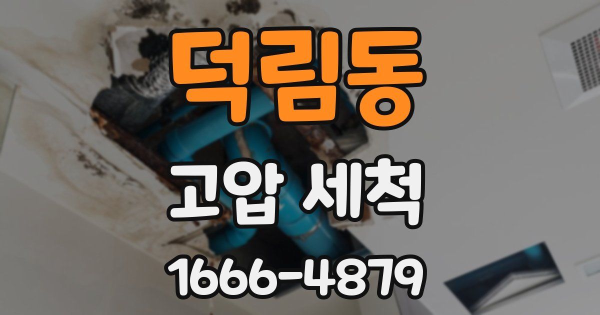 덕림동 고압 세척