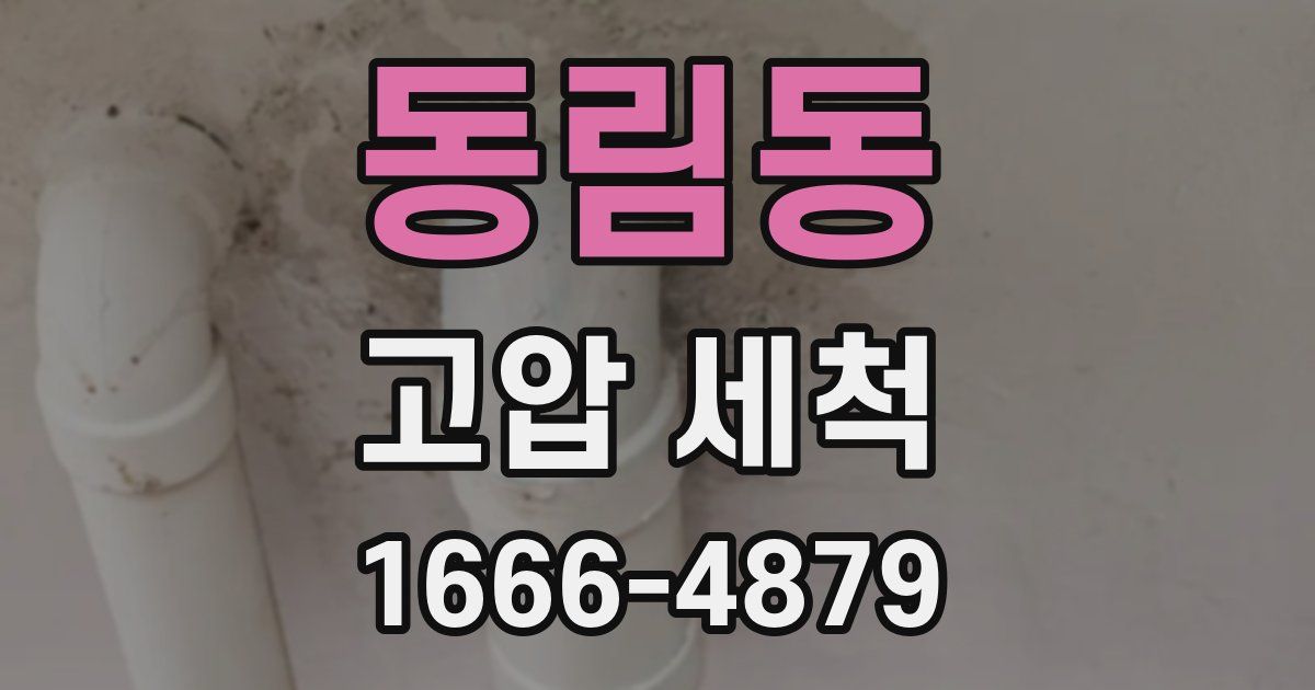 동림동 고압 세척