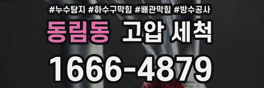 동림동 고압 세척