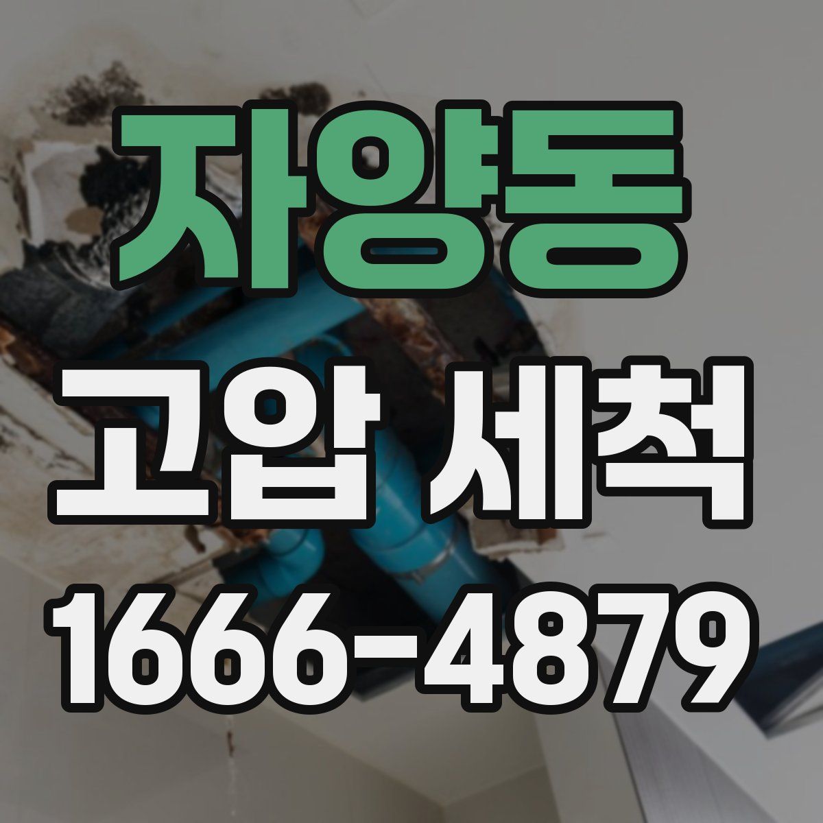 자양동 고압 세척
