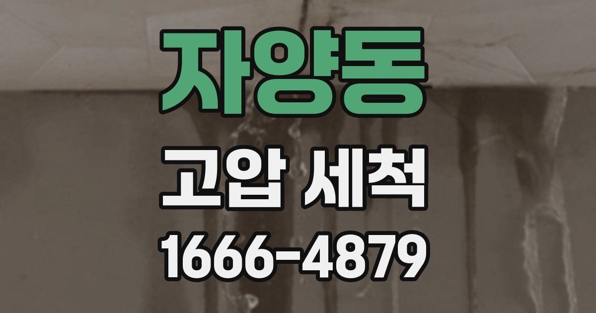 자양동 고압 세척