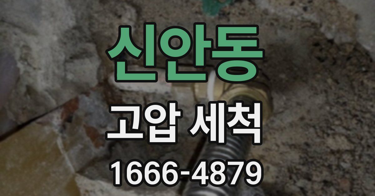 신안동 고압 세척