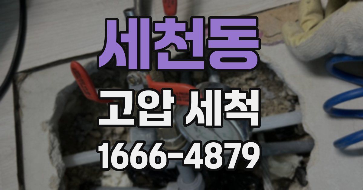 세천동 고압 세척
