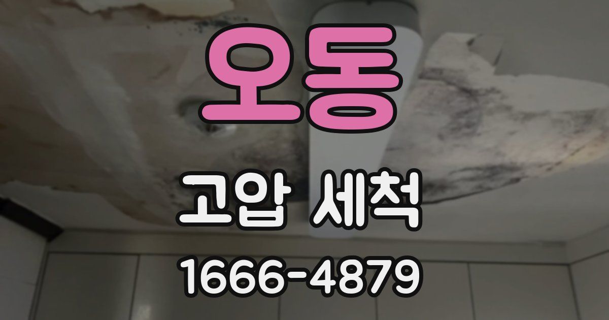 오동 고압 세척