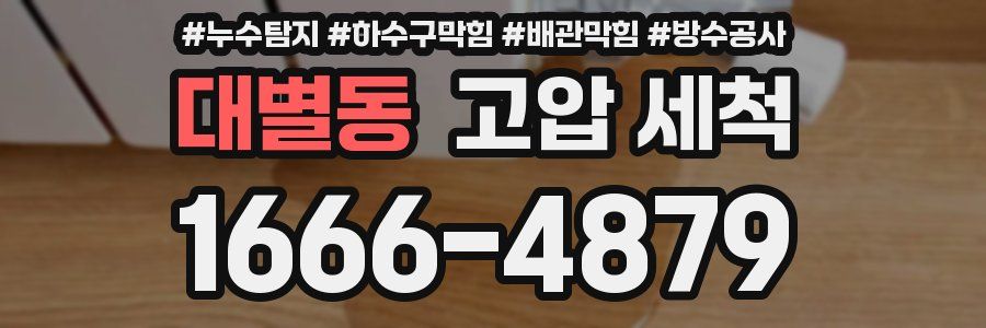 대별동 고압 세척
