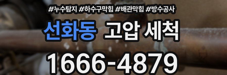 선화동 고압 세척