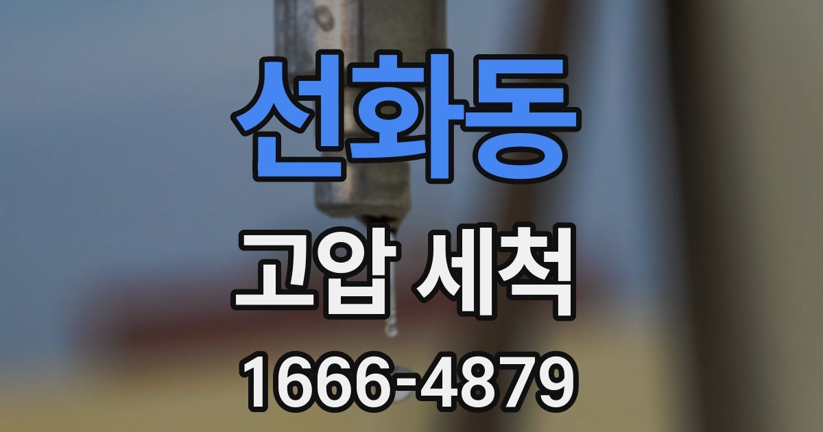 선화동 고압 세척