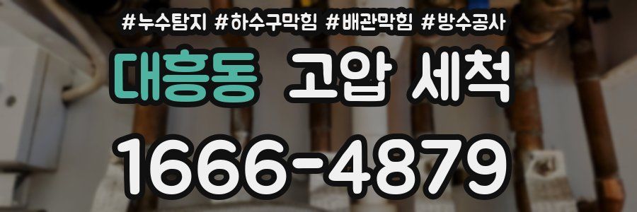 대흥동 고압 세척