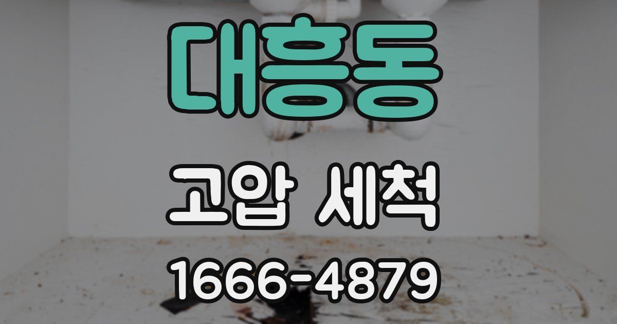 대흥동 고압 세척