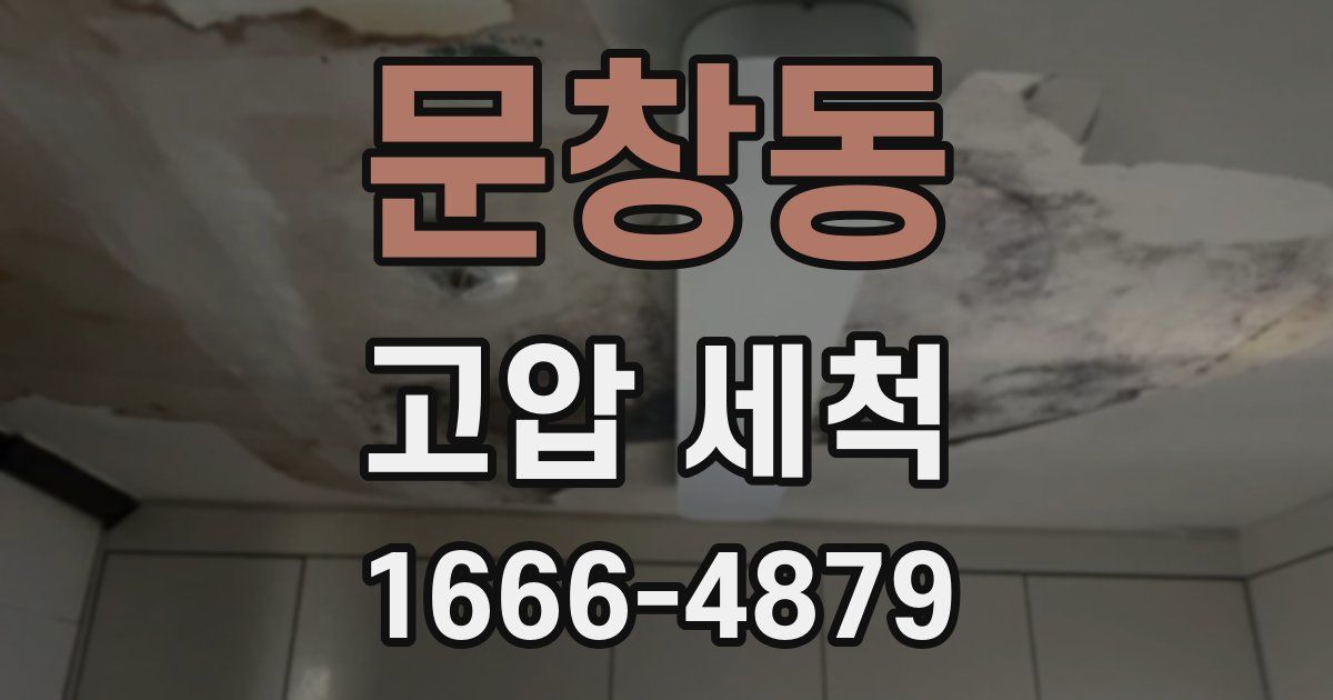 문창동 고압 세척
