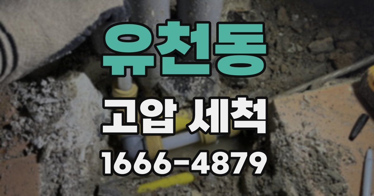 유천동 고압 세척