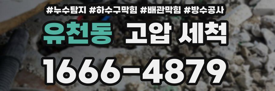 유천동 고압 세척