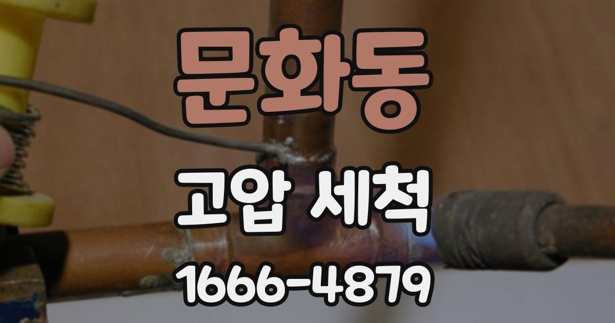 문화동 고압 세척
