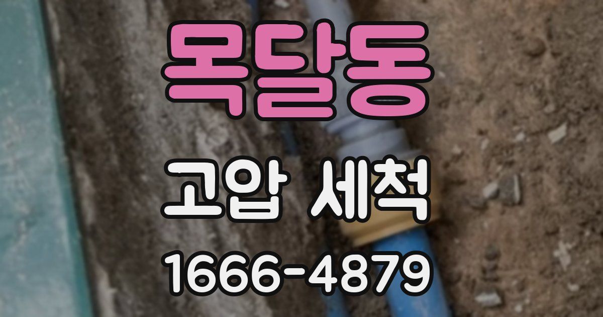 목달동 고압 세척
