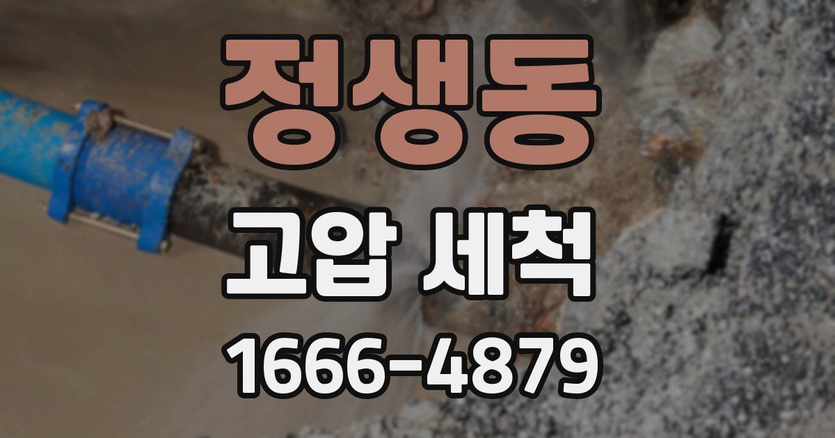 정생동 고압 세척