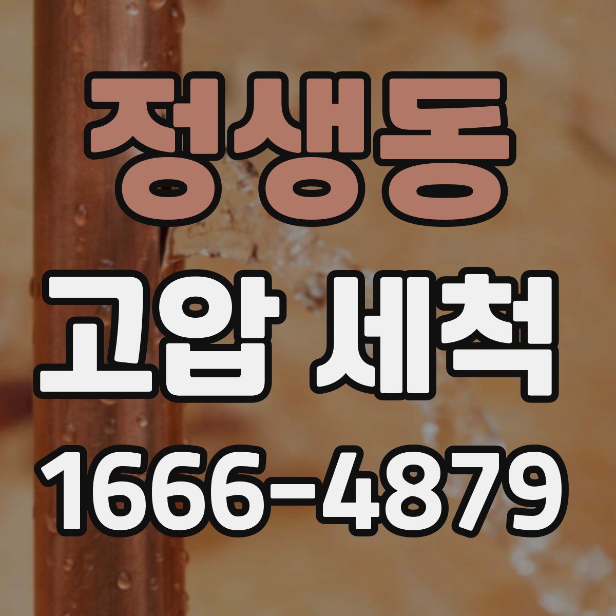 정생동 고압 세척