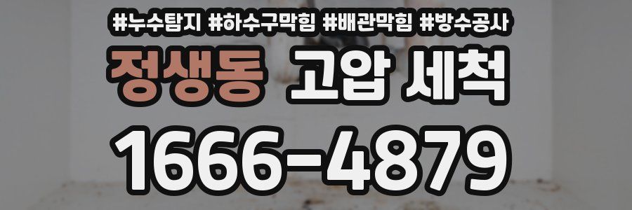 정생동 고압 세척