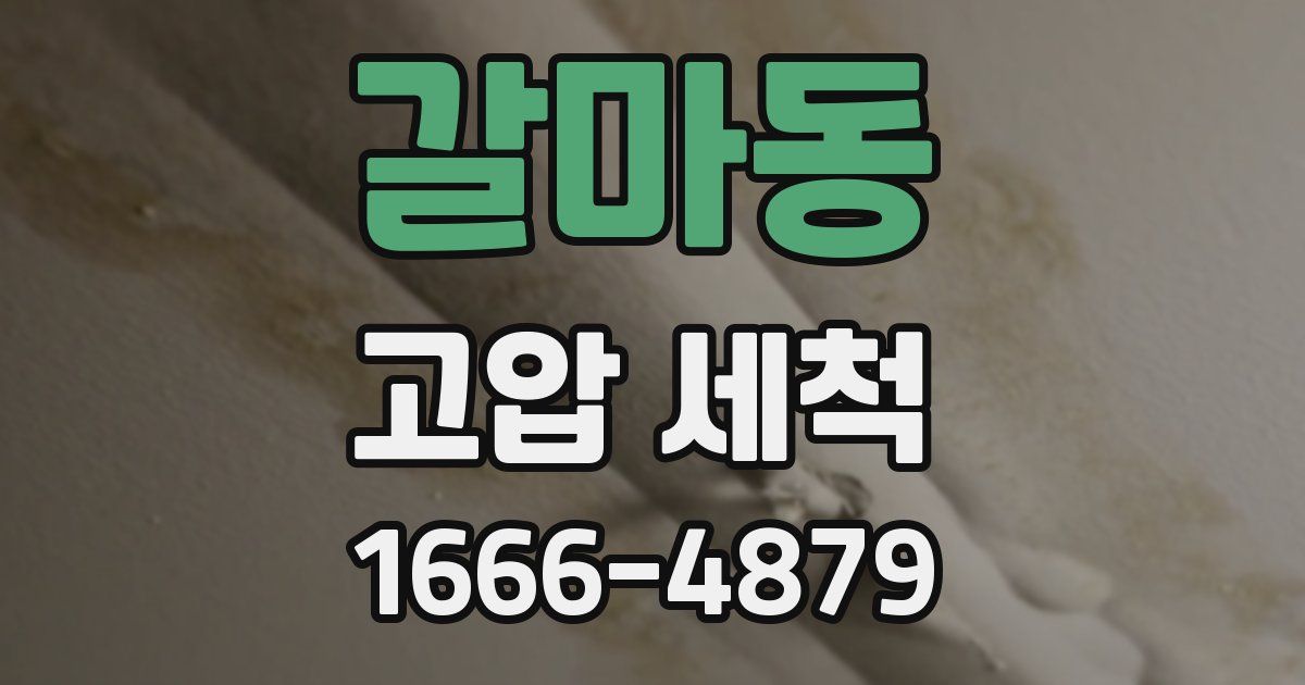 갈마동 고압 세척