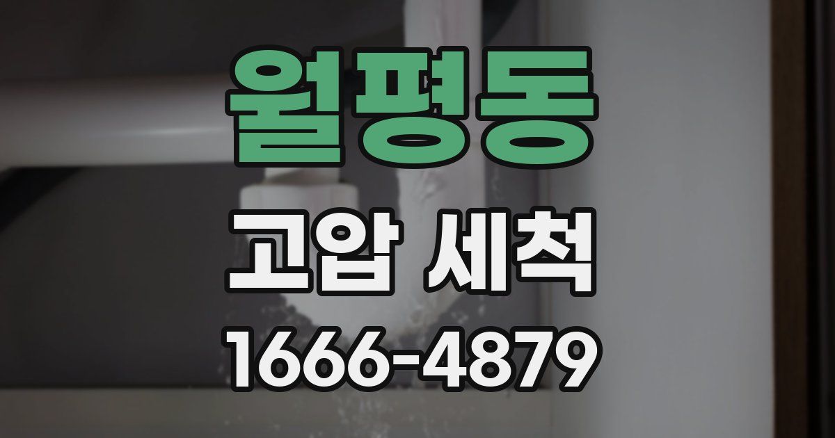 월평동 고압 세척
