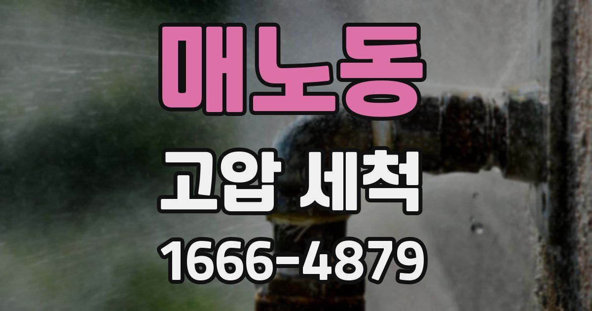 매노동 고압 세척