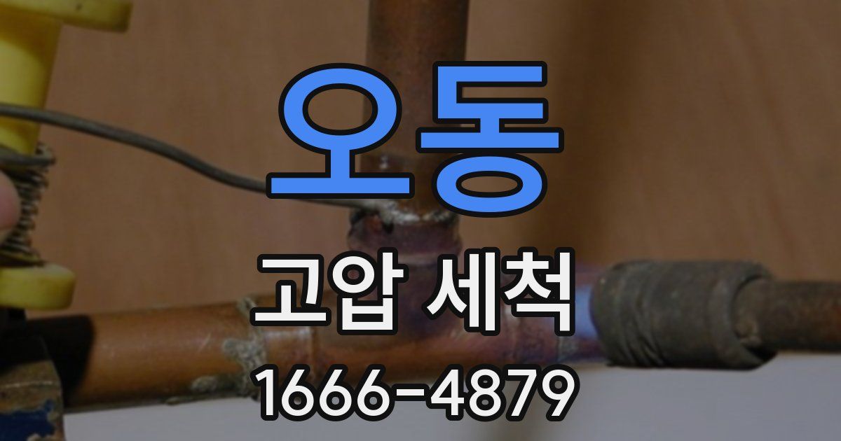 오동 고압 세척