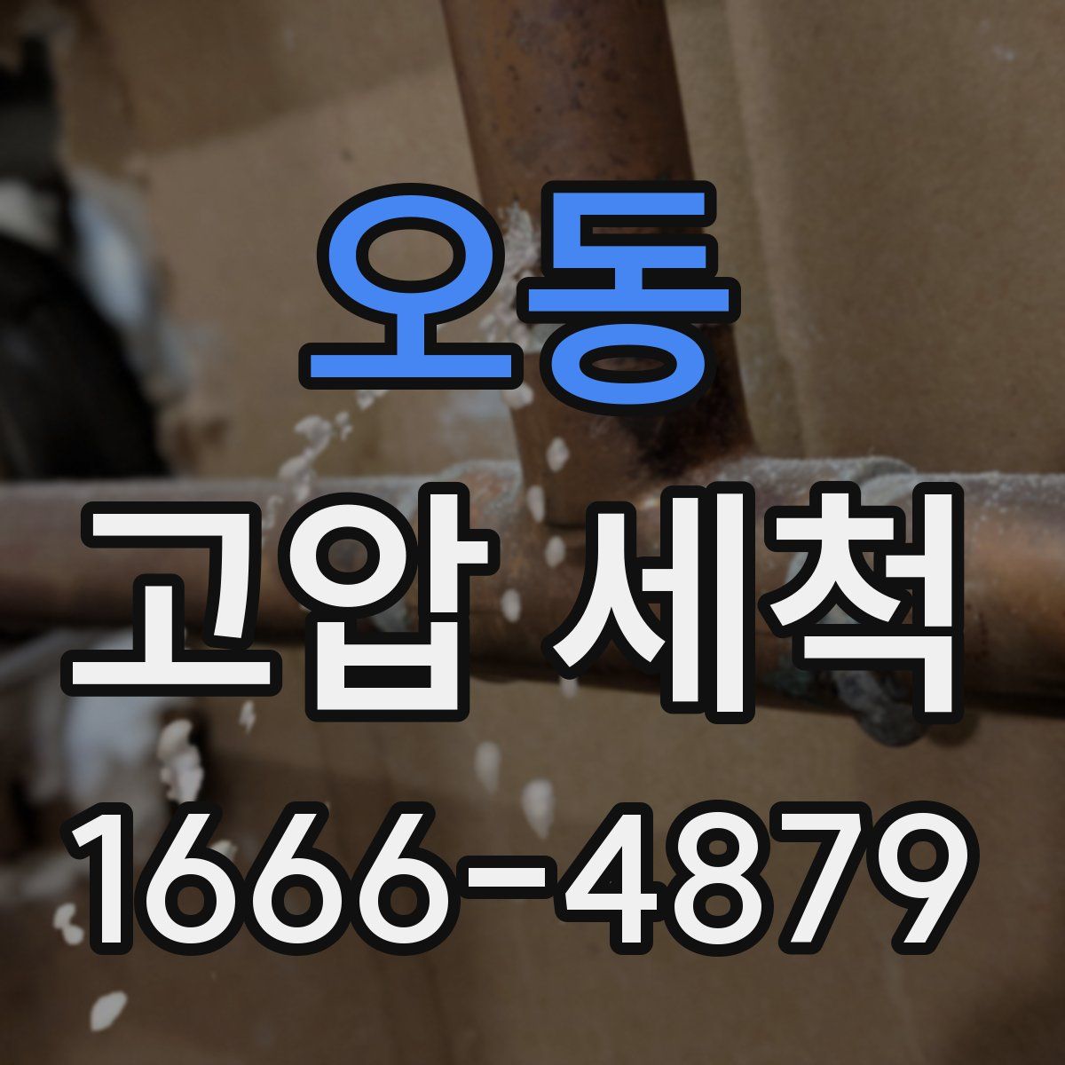 오동 고압 세척