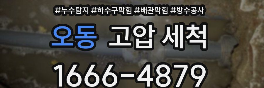 오동 고압 세척
