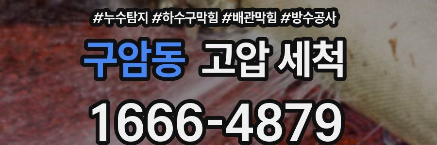 구암동 고압 세척