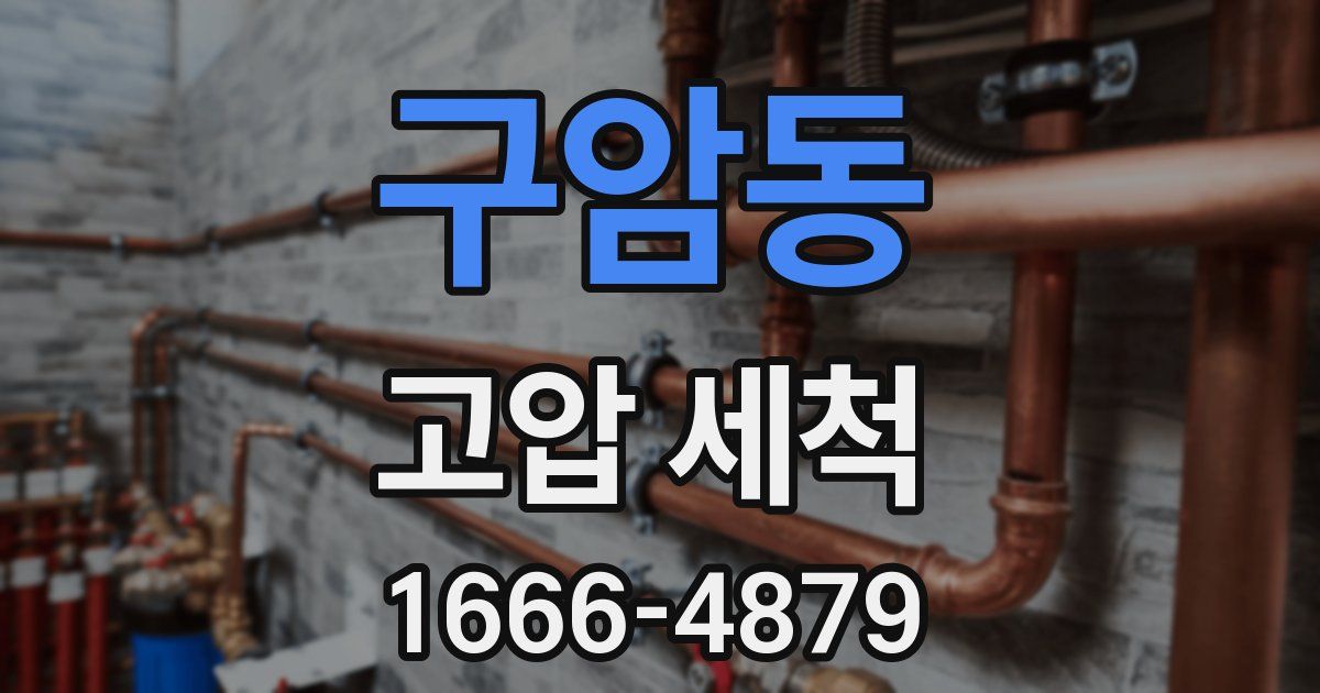 구암동 고압 세척