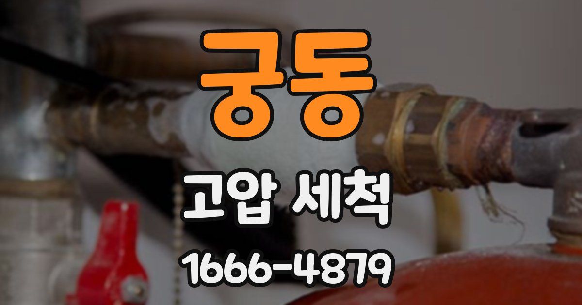 궁동 고압 세척