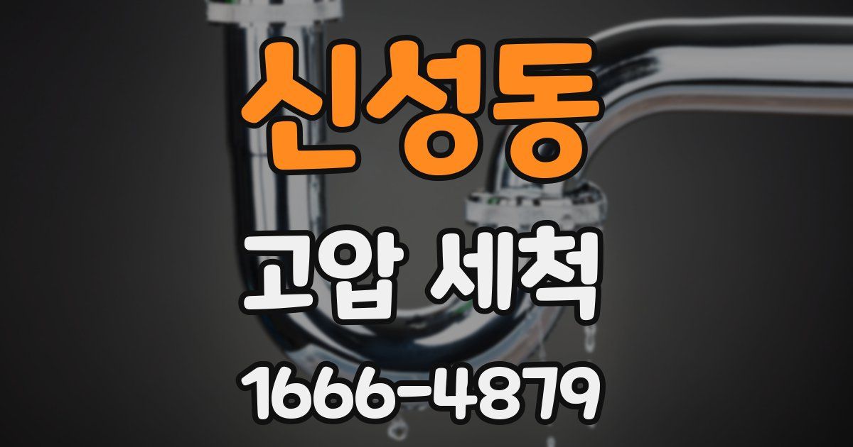 신성동 고압 세척