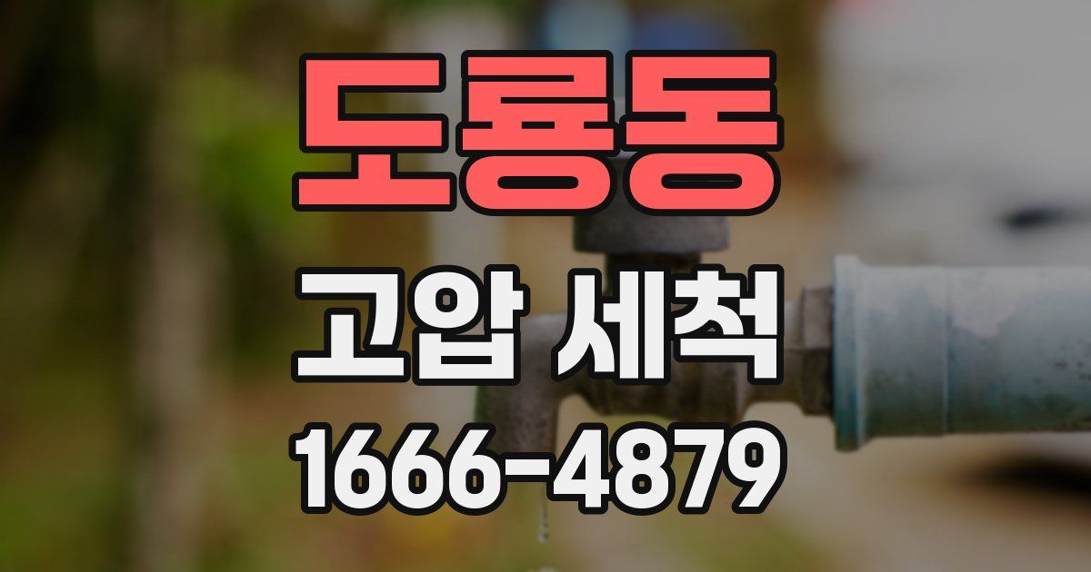 도룡동 고압 세척
