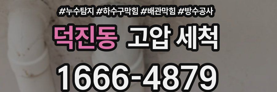 덕진동 고압 세척