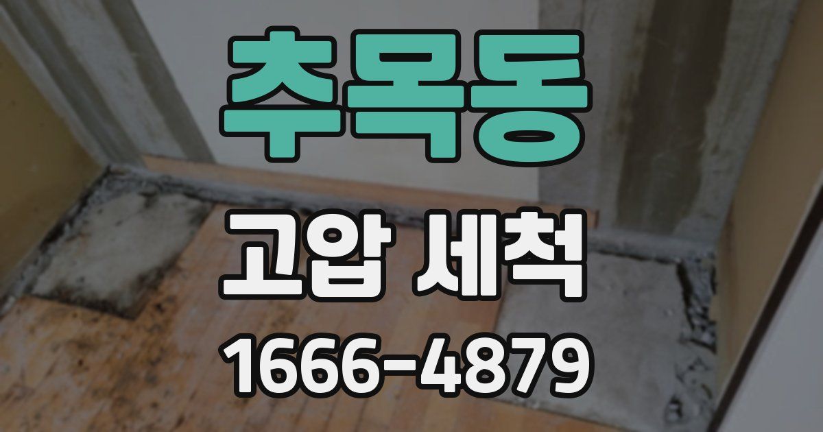 추목동 고압 세척