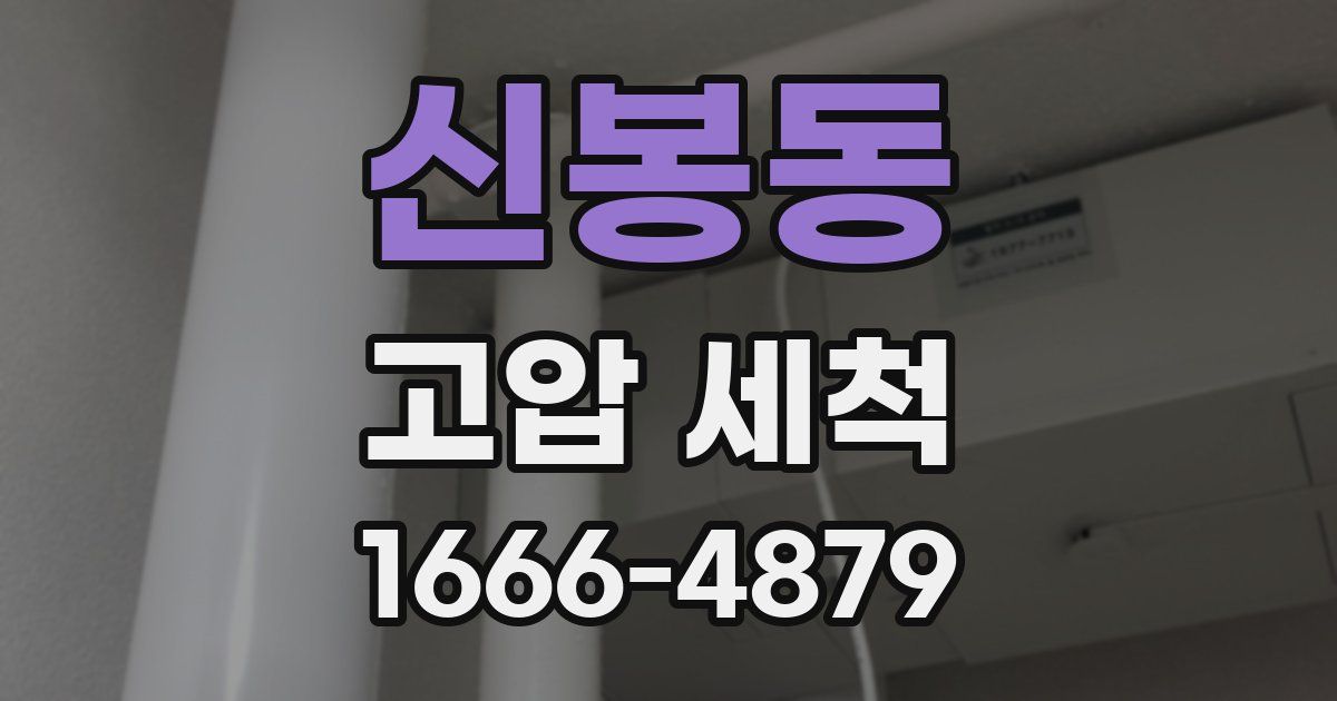 신봉동 고압 세척