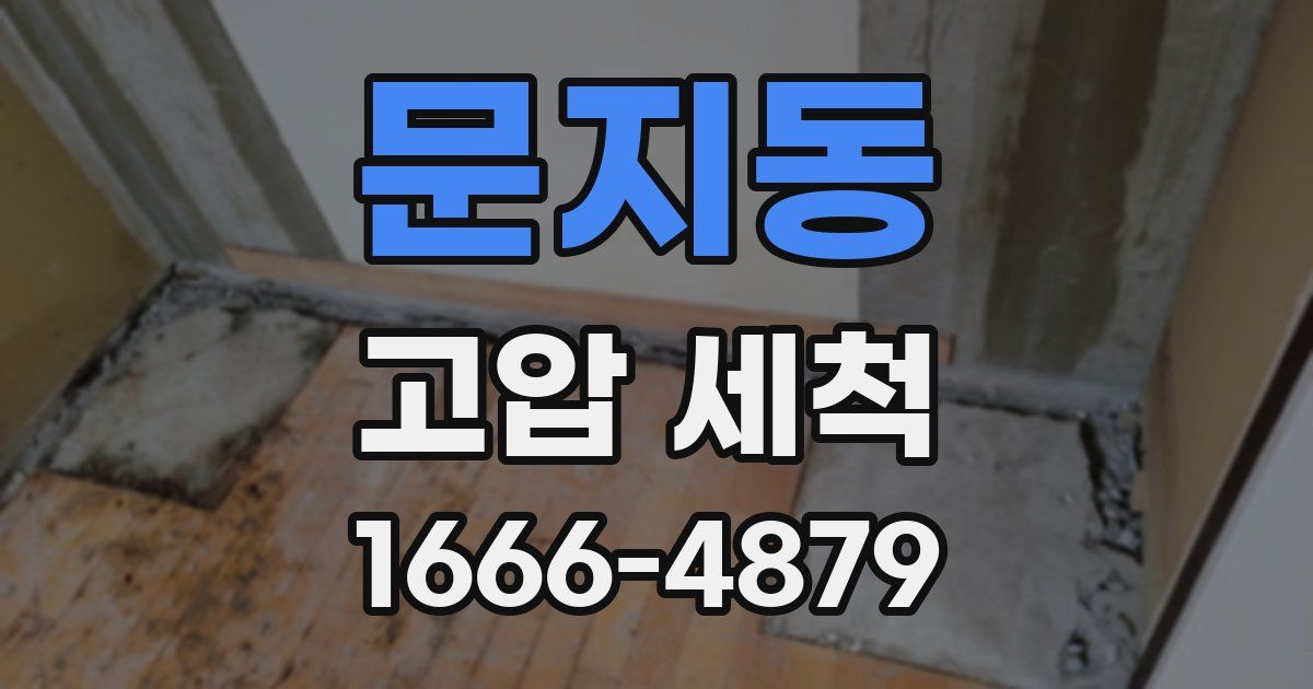 문지동 고압 세척