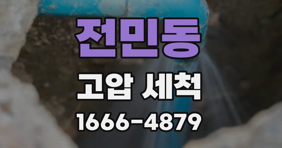 전민동 고압 세척