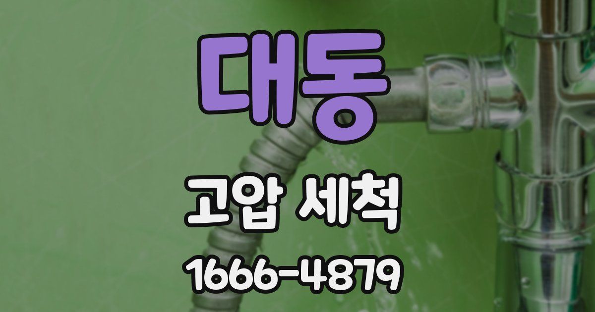 대동 고압 세척