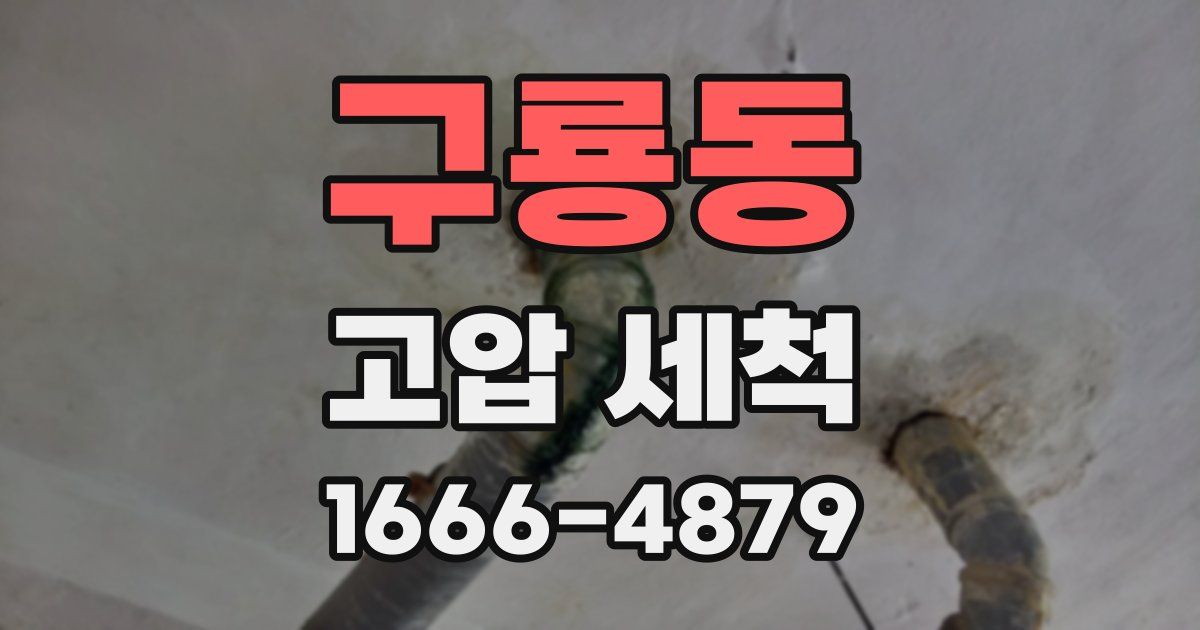 구룡동 고압 세척